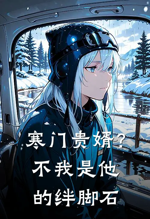 寒门贵婿？不，我是他的绊脚石