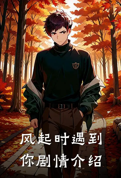 风起时遇到你剧情介绍