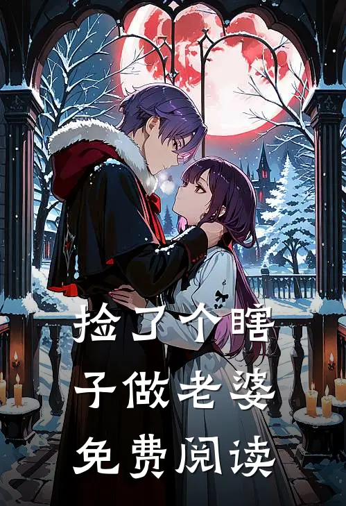 捡了个瞎子做老婆免费阅读