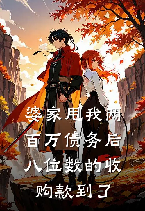 婆家甩我两百万债务后，八位数的收购款到了